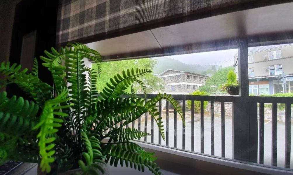 Fairy Falls Hotel Trefriw Buitenkant foto
